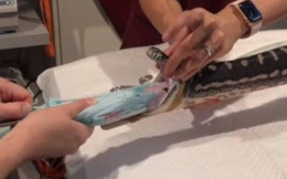 Clip trăn tham ăn phải đi 'cấp cứu', bác sĩ lôi ra thứ bất ngờ nằm trong bụng