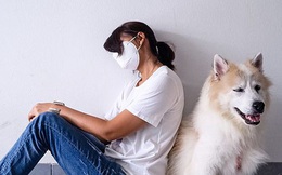 Nghiên cứu: Thú cưng an ủi người đang đau khổ tốt hơn cả gia đình và bạn bè thân thiết