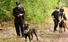 Công an Quảng Bình sử dụng chó nghiệp vụ và flycam để tìm kiếm Lê Văn Triễn - nghi phạm giết mẹ vợ