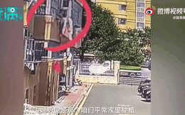 Clip: Người phụ nữ đứng trên cao ném chậu cây xuống em bé 2 tuổi vì lý do 'ngứa mắt'' gây phẫn nộ