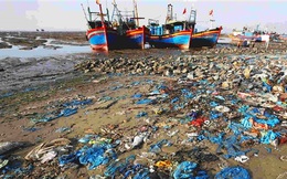 Việt Nam lần đầu công bố báo cáo hiện trạng môi trường biển và hải đảo quốc gia giai đoạn 2016-2020