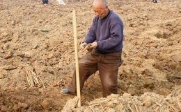 Ông lão đào được thanh kiếm khắc 3 ký tự đặc biệt nhưng lại đem về làm bếp, người dân phỏng đoán: Là Thượng phương bảo kiếm?