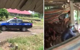 Đang bán gà thì thấy mấy chiếc xe cảnh sát kéo đến nhà, chị chủ trang trại 'hú vía' nhưng sự thật lại khiến người xem bật cười