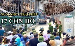 Vụ xây hầm nuôi nhốt trái phép 17 cá thể hổ ở Nghệ An, đây là loài hổ gì?