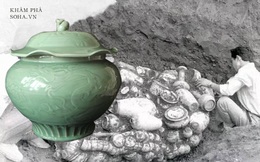 Chàng trai đào huyệt tìm thấy chiếc bình lá sen: Khi đội khảo cổ đến nơi, họ đã xới tung cả khu đất!