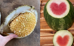Khi thiên nhiên quyết định “hù” con người với những kiểu ra hoa kết trái “đố ai hiểu được em”, kết quả coi mà sốc