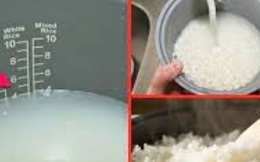 6 sai lầm cơ bản khi nấu cơm bằng nồi điện nhiều bà nội trợ mắc phải