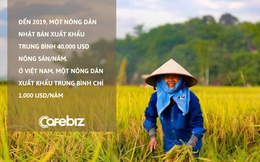 Giáo sư Việt tại Nhật lý giải vì đâu mỗi nông dân Việt xuất khẩu chỉ bằng 1/40 nông dân Nhật: ‘Hầu hết dùng smartphone để liên lạc, giải trí hơn là phục vụ nông nghiệp’