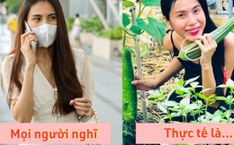 Ngoài kia 'sao kê' bão tố, Thuỷ Tiên vẫn có thể bình yên nhờ 1 sở thích bình dị 'nuôi kiến trồng rau' ở căn villa 22 tỷ