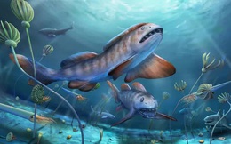"Tái sinh" quái ngư răng cánh hoa 290 triệu tuổi, tổ tiên của "bóng ma đại dương"