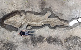 Phát hiện bộ xương hoàn chỉnh về rồng biển khổng lồ dưới đáy hồ nước
