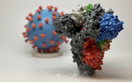 Vật liệu in 3D đầu tiên trên thế giới có thể tiêu diệt virus SARS-CoV-2 trên bề mặt
