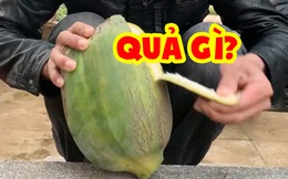 To như dừa, mềm như đu đủ: Thách bạn đoán đúng đây là quả gì ở Việt Nam!