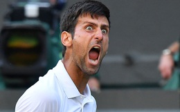 Bị trục xuất cay đắng, Djokovic định kiện, đòi bồi thường 100 tỷ đồng