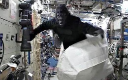 Cựu phi hành gia NASA "ship" bộ đồ hóa trang khỉ đột lên ISS để ông anh của mình mặc