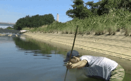Ra sông cạn bắt cá, người đàn ông phát hiện sinh vật cực kỳ nguy hiểm này