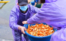 Giá chép đỏ gấp đôi, nông dân nuôi "tàu vũ trụ" đưa ông Công ông Táo chầu trời thắng lớn