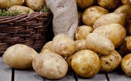 Củ khoai tây không chỉ chế biến món ăn ngon mà còn là vị thuốc chữa bệnh