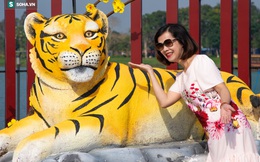 Khác hẳn hổ "thảm hoạ", tượng hổ ở Huế có gì khiến người dân tự hào đẹp nhất Việt Nam?