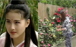 Nàng "Chu Chỉ Nhược" xinh đẹp, giàu có, sống cô độc trong biệt thự xa hoa ở Bắc Kinh