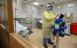 Giới khoa học kinh ngạc trước 13 đột biến ngược quy luật của Omicron
