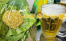 Bia làm từ đặc sản thu Hà Nội: Khách nước ngoài khen nức nở, cả năm chỉ được uống 1 dịp