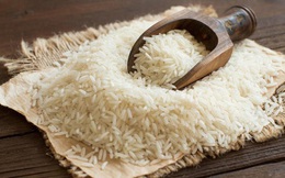Cách diệt mọt gạo nhanh và hiệu quả