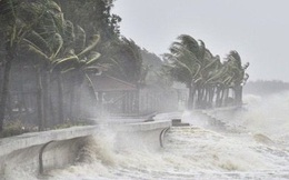Vùng áp thấp có khả năng mạnh lên thành áp thấp nhiệt đới trong 24 giờ tới