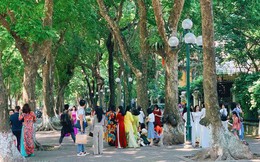 Choáng ngợp khung cảnh người người đổ về phố Phan Đình Phùng chụp ảnh nắng thu thơ mộng