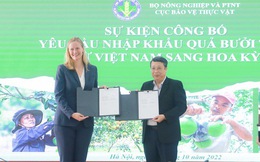 Trái bưởi Việt Nam muốn xuất sang Mỹ cần đáp ứng yêu cầu gì?