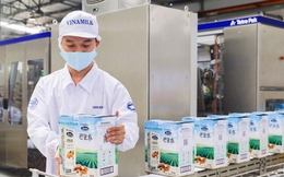 'So găng' 10 doanh nghiệp niêm yết nộp thuế lớn nhất Việt Nam