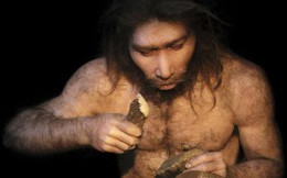 Người hiện đại và người Neanderthal đã từng 'vay mượn công nghệ' để cùng tồn tại