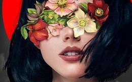 3 điều người thông minh không khoe khoang