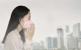 Ô nhiễm không khí và các hệ quả kinh tế (phần 2)