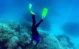 Đây là thời điểm thích hợp để tham quan rạn san hô Great Barrier!