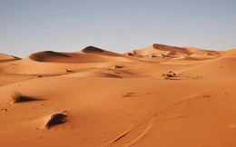 Công nghệ biến cát sa mạc cằn cỗi thành đất màu mỡ chỉ trong 7 tiếng