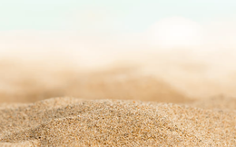 Chống béo phì nhờ các hạt có trong cát tinh khiết