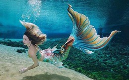 'Nghề' làm nàng tiên cá: Lương cao nhưng không được phép căng thẳng