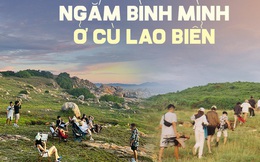 Địa điểm cắm trại mới nổi tại Phú Yên: Nơi có đồi cỏ săn bình minh đẹp hút hồn