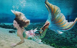 'Nghề' làm nàng tiên cá: Lương cao kiếm 3 tỷ mỗi năm nhưng không được phép căng thẳng