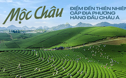 Mộc Châu - Viên ngọc xanh giữa lòng Tây Bắc sở hữu vẻ đẹp kỳ vĩ khiến du khách xao xuyến