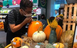 Bí ngô tiền triệu chưa đến Halloween đã 'cháy' hàng