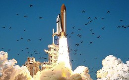 NASA phát hiện mảnh vỡ tàu vũ trụ Challenger sau 26 năm gián đoạn