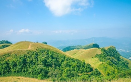 Đắm chìm trong thảo nguyên xanh mướt ‘không tì vết’ ở Bắc Kạn
