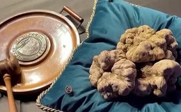 Nấm Truffle trắng được bán với giá kỷ lục 184.000 Euro