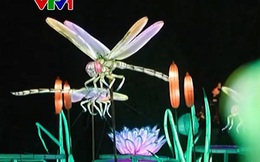 Triển lãm ánh sáng chủ đề côn trùng ở Pháp