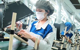 Sách trắng doanh nghiệp Việt Nam 2022 cho thấy điều gì?