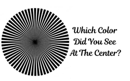 Trắc nghiệm IQ: Màu sắc bạn nhìn thấy đầu tiên ở tâm hình tròn cho biết bạn thuộc kiểu thiên tài nào!