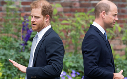 Hoàng tử Harry kể chi tiết nguyên nhân rạn nứt tình anh em với Hoàng tử William