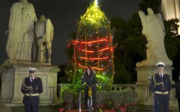 Những cây thông Noel thân thiện môi trường